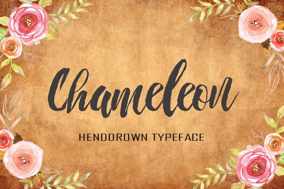 Chameleon: A Hand-Drawn Typeface for Small Business Branding