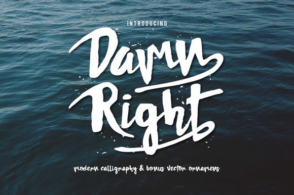 Damn Right: A Playful Script Font for Web Design