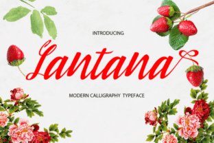 Lantana Typeface: A Modern Script for Editorial Design