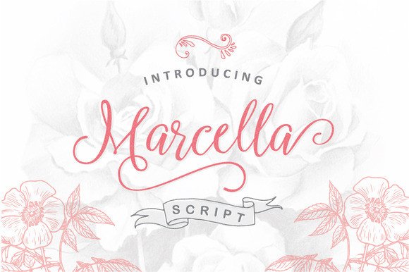 Marcella: The Script Font for Scroll-Stopping Marketing