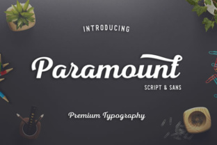 Paramount: A Designer’s Honest Review for Branding