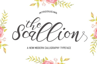 Scallion Typeface: Elevating Web Design