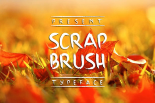 Scrap Brush: A Designer’s Honest Take on Raw Script Energy