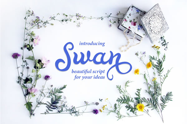 Swan Font: Elevate Your Handmade Brand