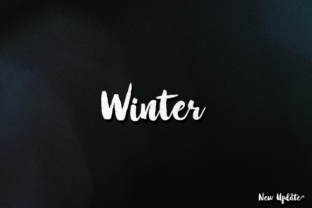 Winter Brush: A Modern Script Font for Branding