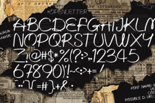 Written Lies: A Versatile Script Font for Branding